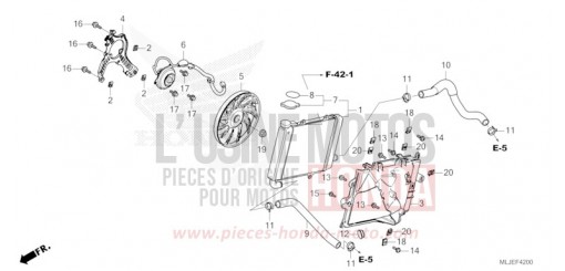 RADIATOR (R.) GL1800DAR de 2024